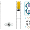 B-LineX - Image 3