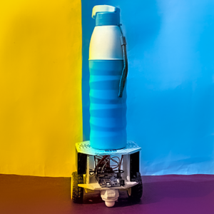 B-BlueX